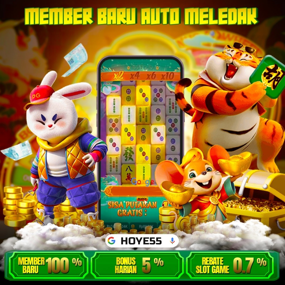 Koleksi visual HOYE55
